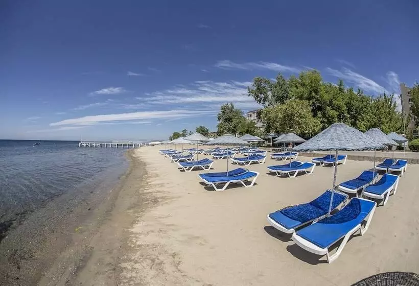 בית מלון כפרי Arteka