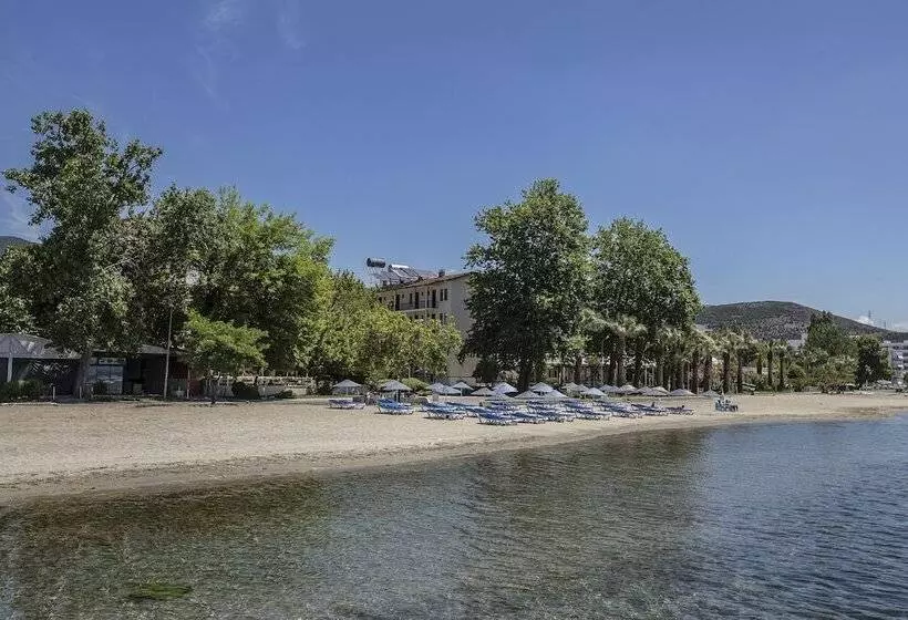 בית מלון כפרי Arteka