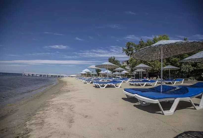 בית מלון כפרי Arteka