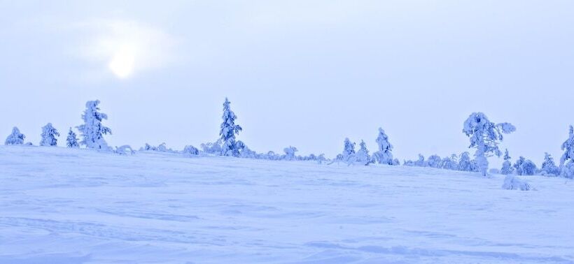 هتل Holiday Club Saariselka