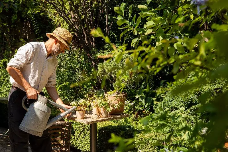 Отель La Mirande