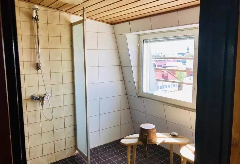 בית מלון כפרי Palomestari