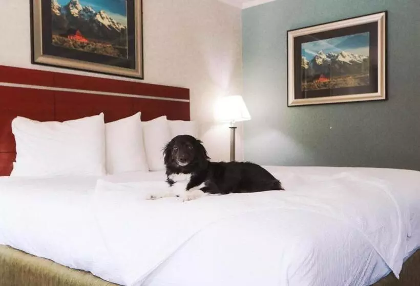 فندق Brandin  Iron Inn