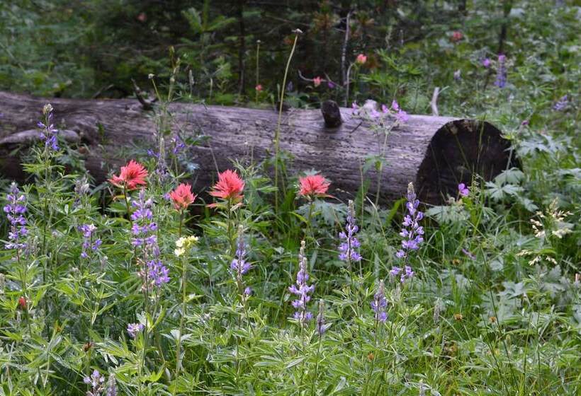 בית מלון כפרי Brandin  Iron Inn