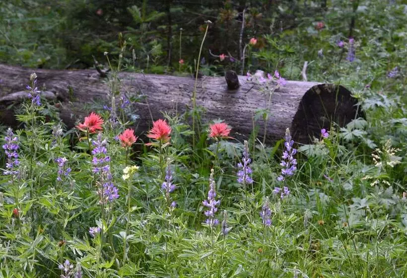 فندق Brandin  Iron Inn