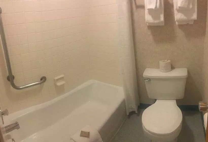 فندق Brandin  Iron Inn