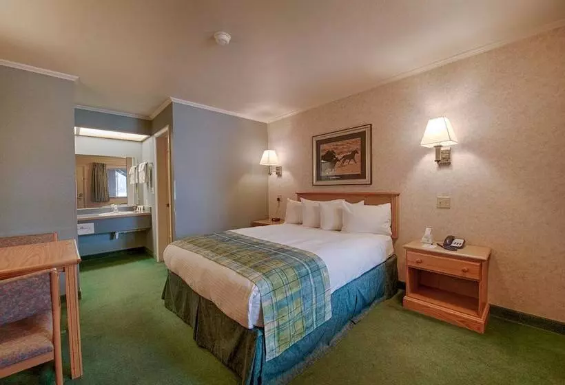 فندق Brandin  Iron Inn