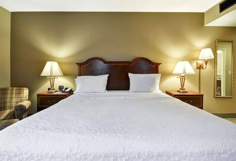 호텔 Hampton Inn Charleston Historic District