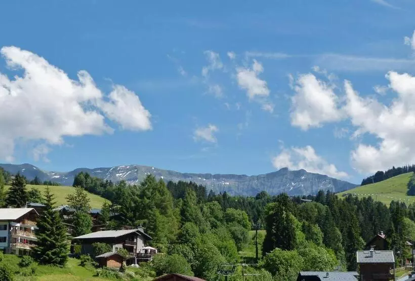 호텔 Mont Blanc Megeve