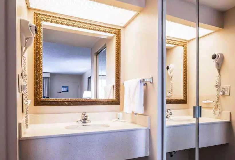 酒店 Quality Inn & Suites