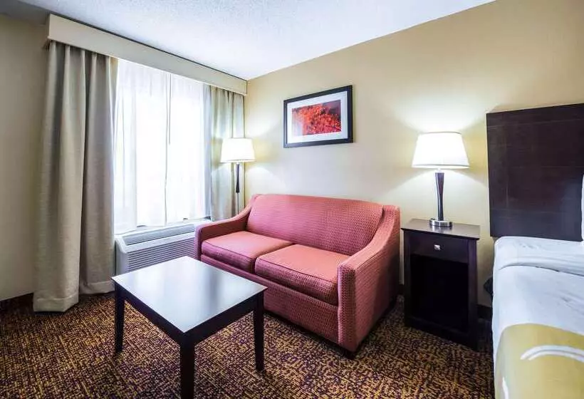 酒店 Quality Inn & Suites
