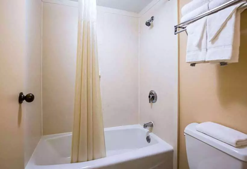 酒店 Quality Inn & Suites