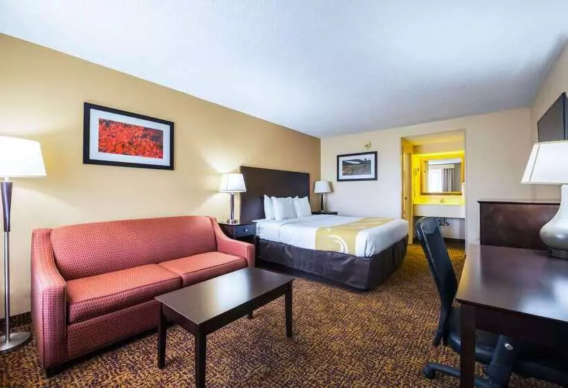 酒店 Quality Inn & Suites