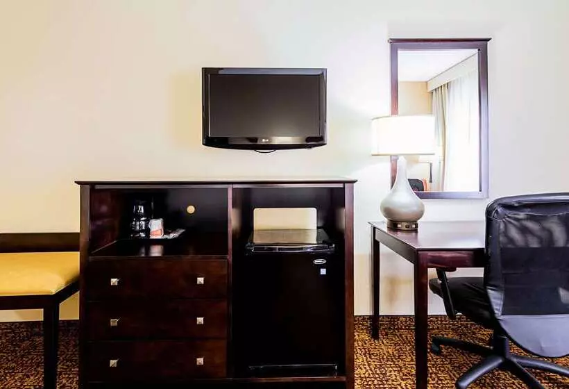 酒店 Quality Inn & Suites