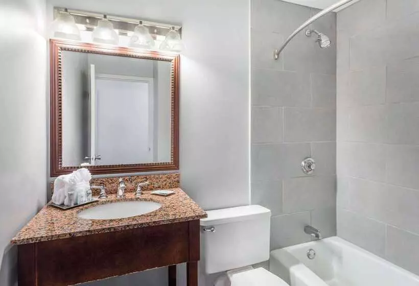 Отель Wyndham Garden Greensboro