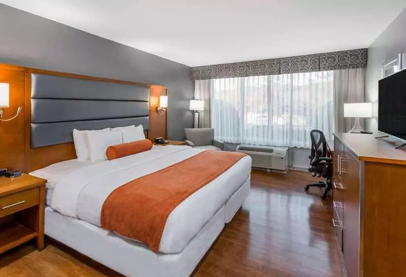 Отель Wyndham Garden Greensboro