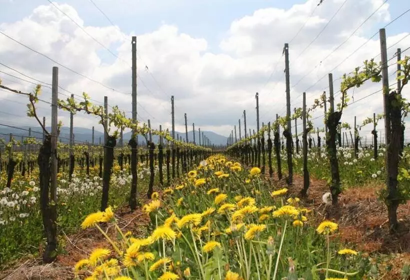 Akzent Hotel Atrium Baden