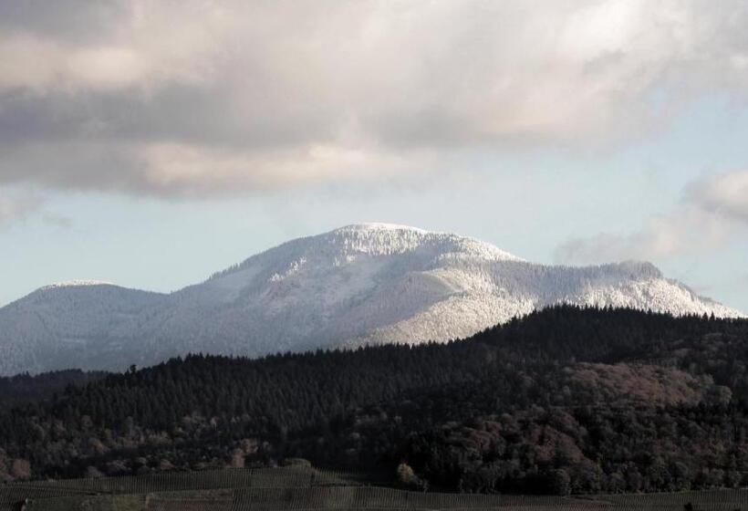 Akzent Hotel Atrium Baden