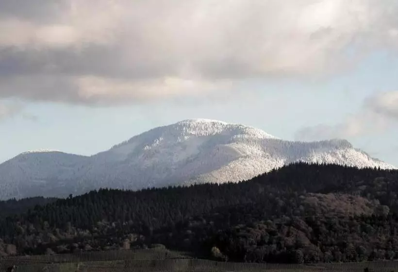 Akzent Hotel Atrium Baden
