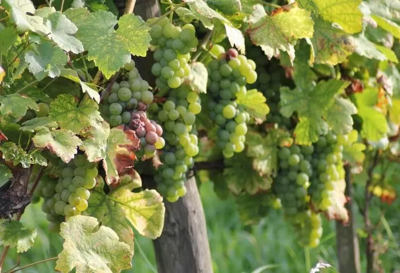 Akzent Hotel Atrium Baden