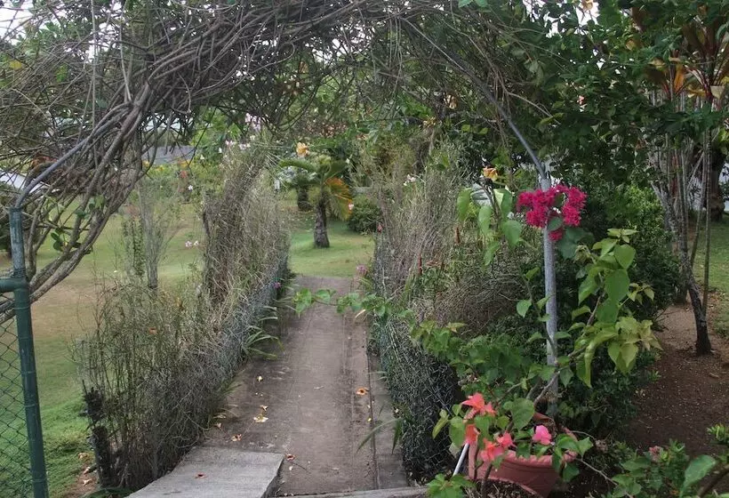 Daniella's Bungalows