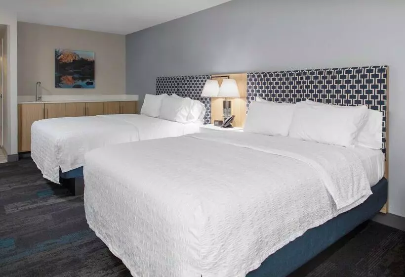 酒店 Hampton Inn Las Vegas/summerlin