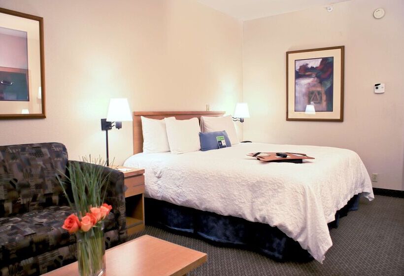 هتل Hampton Inn Las Vegas/summerlin