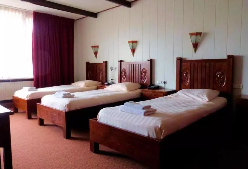 Отель Wienerhof