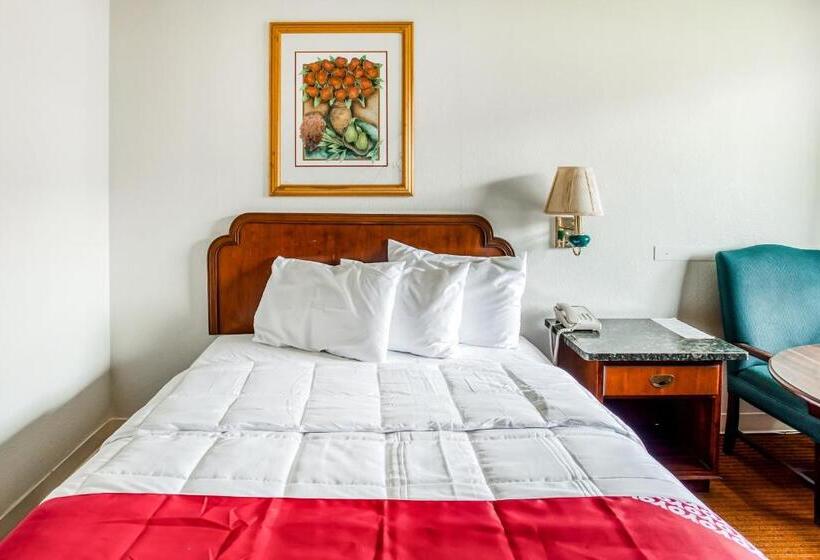 OYO Hotel San Antonio East