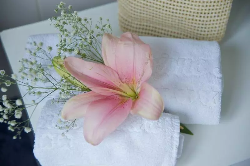 酒店 La Pensione Svizzera