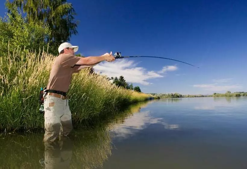 فندق Statesman Motor Inn