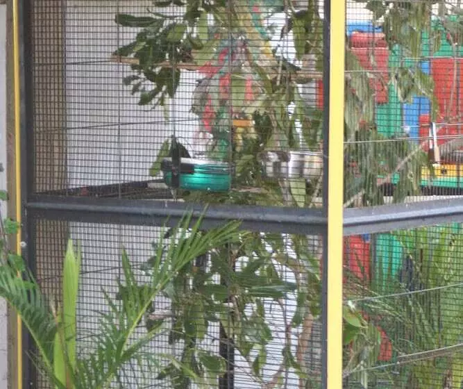 Coachman Motel And Holiday Units