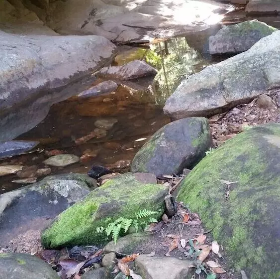 Отель Monto Colonial Motor Inn