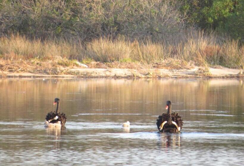 فندق على الطريق Lakes Entrance Waterfront Cottages With King Beds