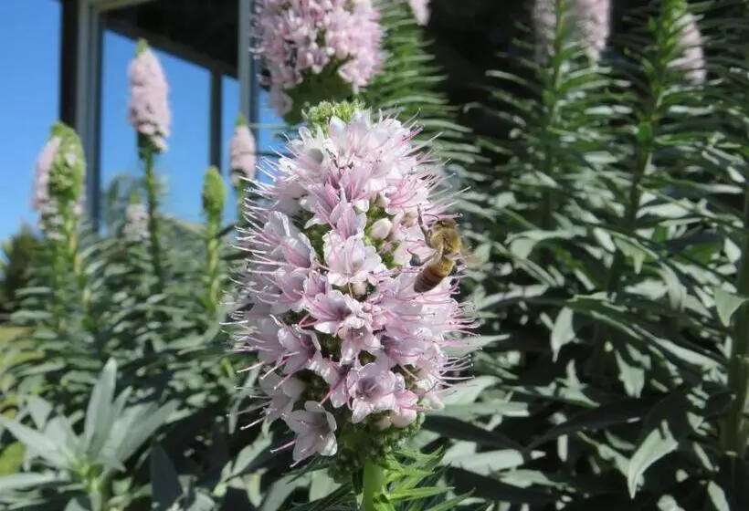 Motelli Lakes Entrance Waterfront Cottages With King Beds