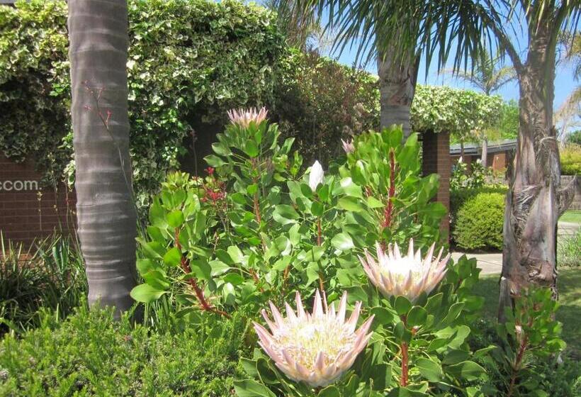 فندق على الطريق Lakes Entrance Waterfront Cottages With King Beds