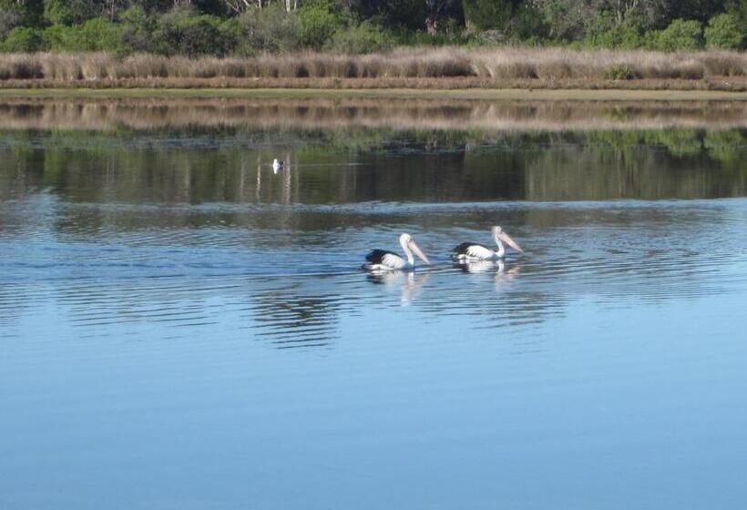 فندق على الطريق Lakes Entrance Waterfront Cottages With King Beds