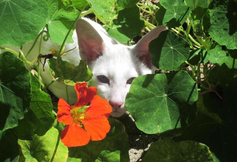 فندق على الطريق Lakes Entrance Waterfront Cottages With King Beds