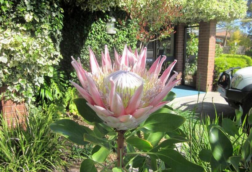 فندق على الطريق Lakes Entrance Waterfront Cottages With King Beds