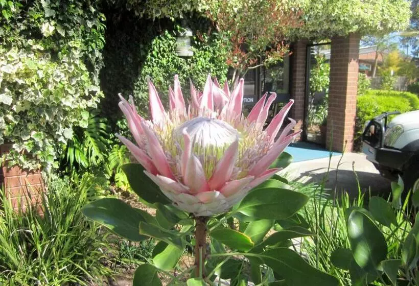 Motelli Lakes Entrance Waterfront Cottages With King Beds