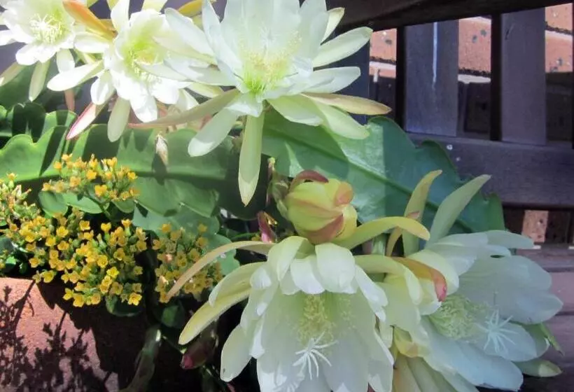 Motelli Lakes Entrance Waterfront Cottages With King Beds