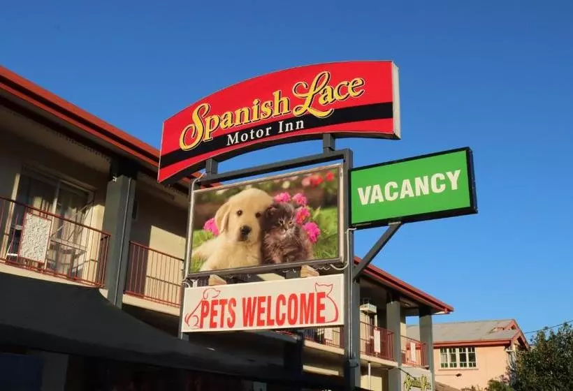 ホテル Spanish Lace Motor Inn