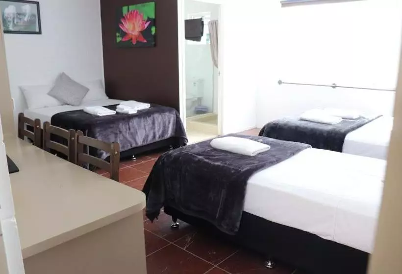 ホテル Spanish Lace Motor Inn