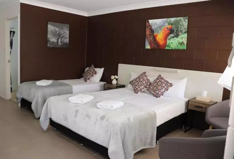 ホテル Spanish Lace Motor Inn