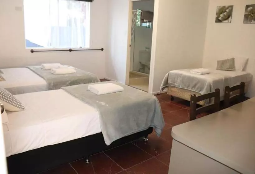 ホテル Spanish Lace Motor Inn