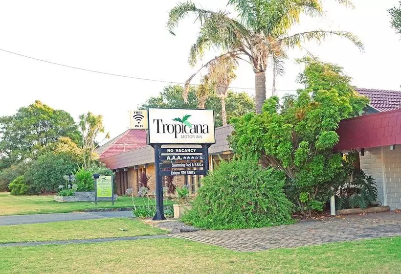 호텔 Tropicana Motor Inn