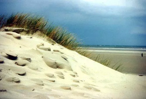 בית מלון כפרי Alizee