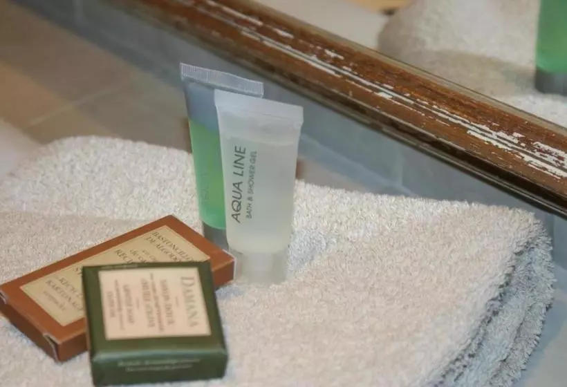 בית מלון כפרי Alizee