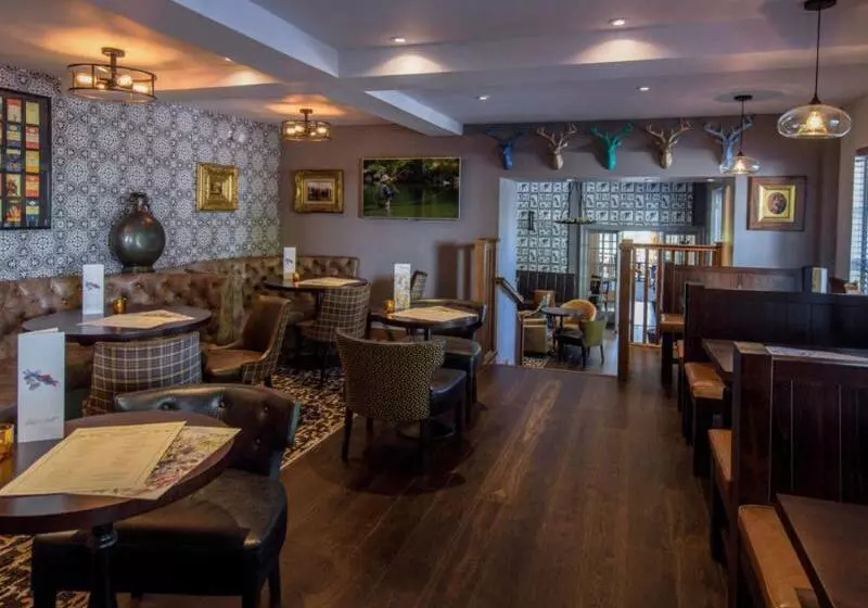 Отель Banchory Lodge