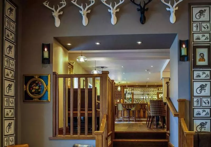 Отель Banchory Lodge